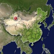 إيلشات حسن: الأويغور هم أصحاب الأرض التي وصفها الصينيون بـ “الأرض المهجورة”