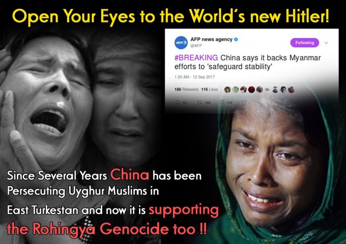 من ميانمار إلى الصين مروراً بإفريقيا الوسطى.. مسلمون تتجاهلهم الإنسانية